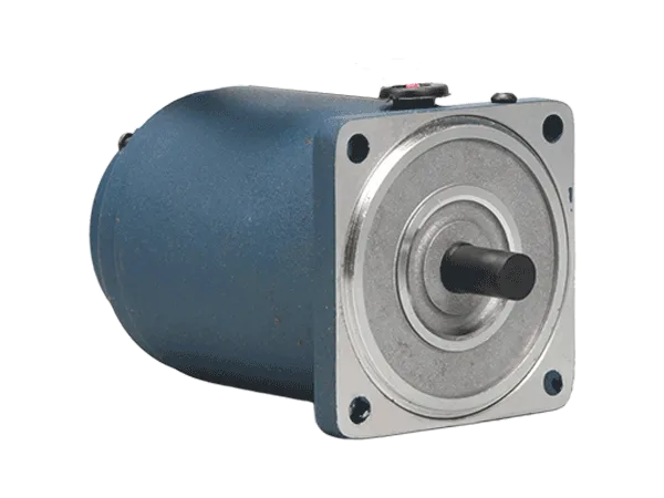 YS series standard motor