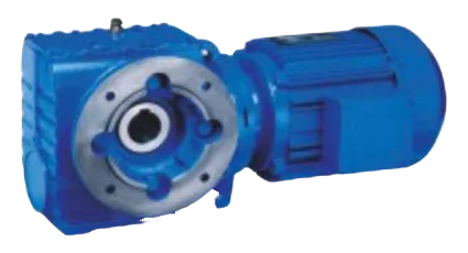 SAF Helical Worm Gear Motor