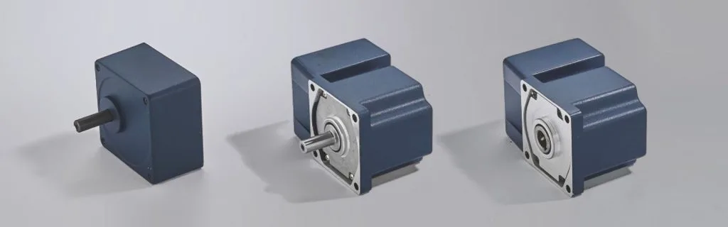 15W 70MM Micro constant speed motor