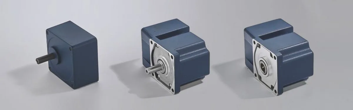 15W70MM Micro Constant Speed Motors