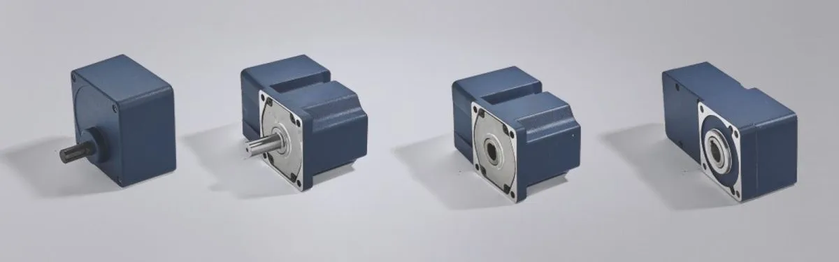 200W100MM Micro Constant Speed Motors