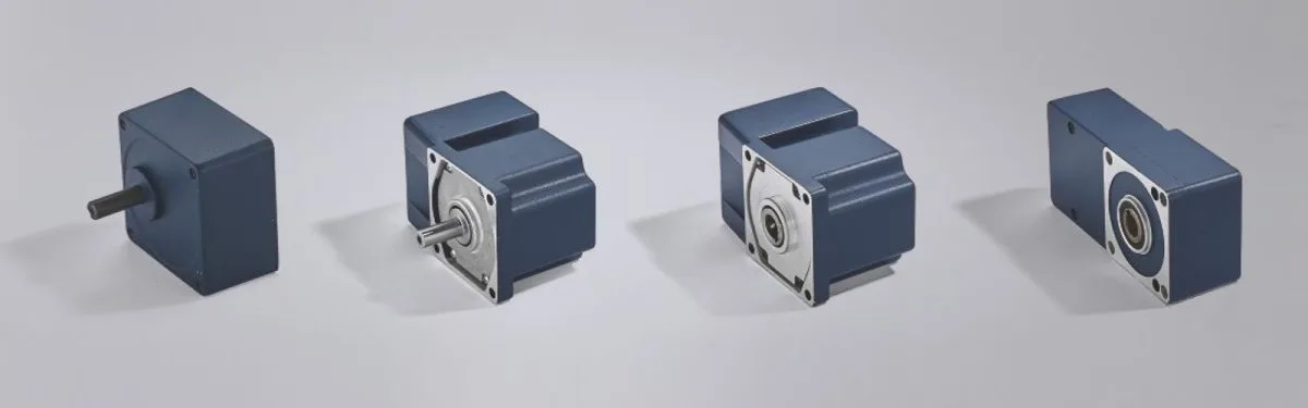 25W80MM Micro Constant Speed Motors