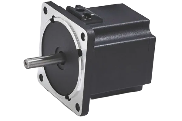 Micro Brushless Motor